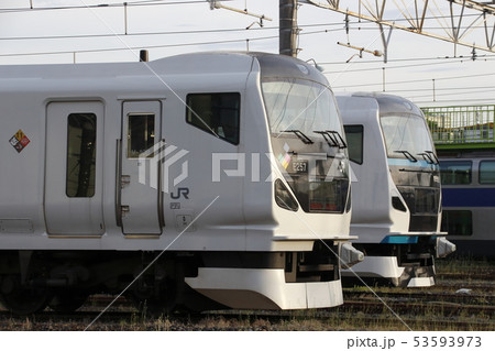 E257系あずさ号とE257系踊り子号 53593973