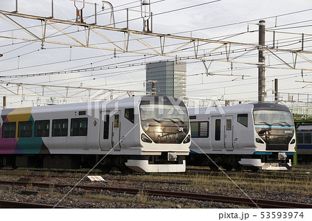 E257系あずさ号とE257系踊り子号 E257系あずさ号とE257系踊り子号 53593974