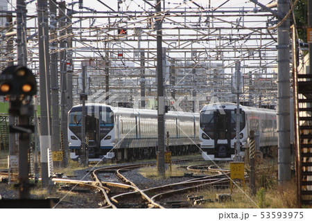 E257系あずさ号とE257系踊り子号 E257系あずさ号とE257系踊り子号 53593975