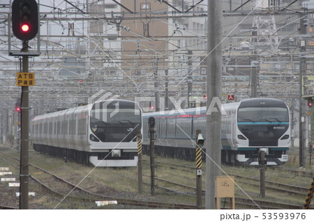 E257系あずさ号とE257系踊り子号 53593976