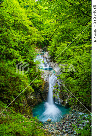 新緑の西沢渓谷 七ツ釜五段の滝 新緑の西沢渓谷 七ツ釜五段の滝 53594039