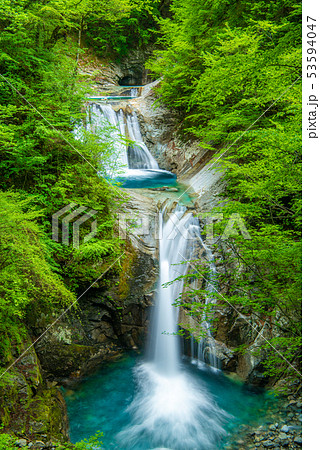 新緑の西沢渓谷　七ツ釜五段の滝 53594047