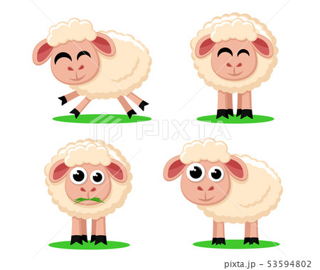 Set of cute sheep on a white background. Set of cute sheep on a white background. 53594802