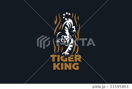 The image of a tiger 53595863