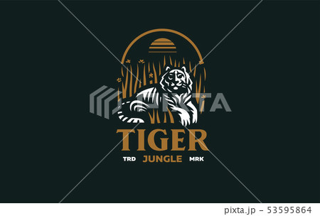 The image of a tiger 53595864