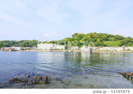 浦賀（初夏） 53595879