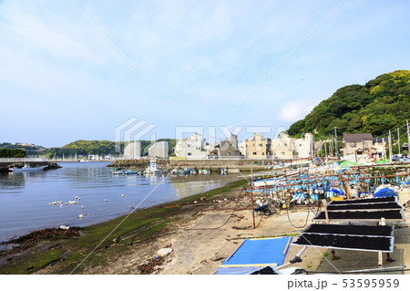 鴨居漁港（初夏） 53595959