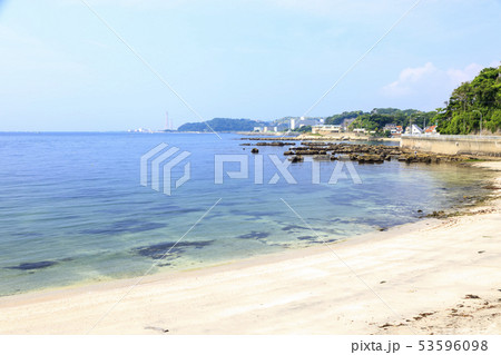観音崎（初夏） 53596098