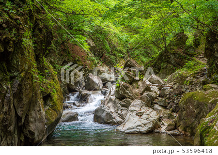 新緑の西沢渓谷　カエル岩 53596418