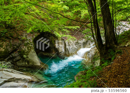 新緑の西沢渓谷　母胎淵（甌穴） 53596560