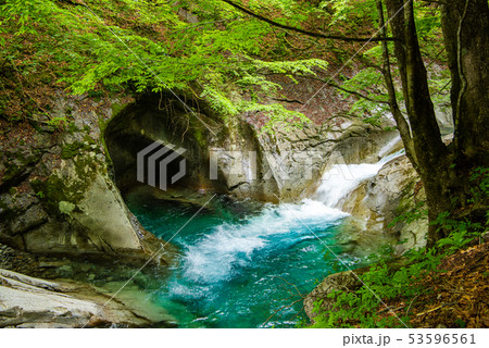 新緑の西沢渓谷　母胎淵（甌穴） 53596561