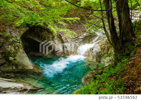 新緑の西沢渓谷 母胎淵(甌穴) 新緑の西沢渓谷 母胎淵(甌穴) 53596562