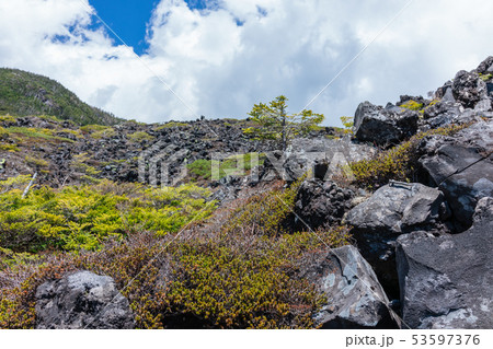 坪庭 溶岩台地 茅野市の写真素材