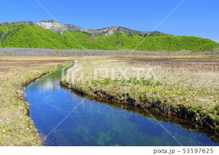 水芭蕉咲く小川と景鶴山 53597625