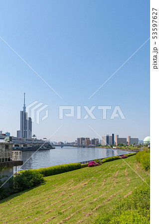 隅田川とスカイツリー 53597627