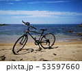 ビーチの自転車 53597660