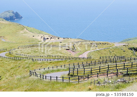 知夫里の絶景 53598150