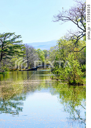 春の大沼国定公園 53598816