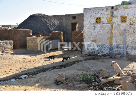 インドのジャイサルメールのクーリー村　レンガと泥造りの伝統的な住居と可愛い子犬 53599075