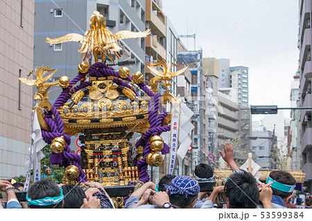 浅草　三社祭　お神輿の渡御　町内神輿連合渡御(ちょうないみこしれんごうとぎょ) 53599384