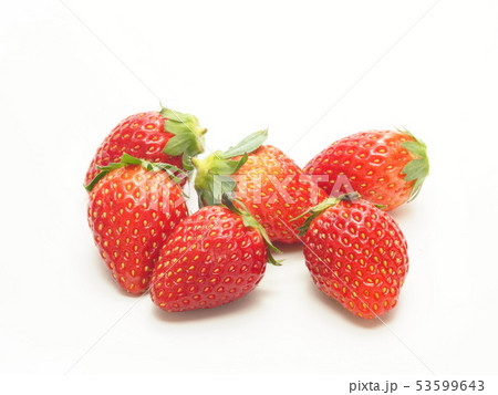 いちご とちおとめ いちご とちおとめ 53599643