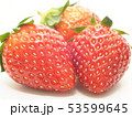 いちご　とちおとめ 53599645