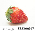 いちご　とちおとめ 53599647