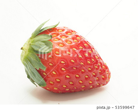 いちご　とちおとめ 53599647