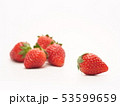 いちご　とちおとめ 53599659
