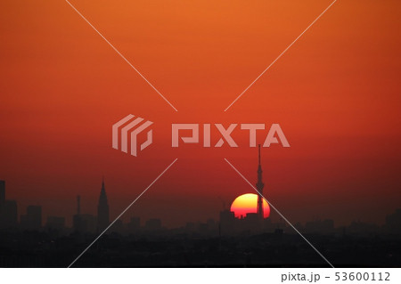 スカイツリーの夜明け 53600112
