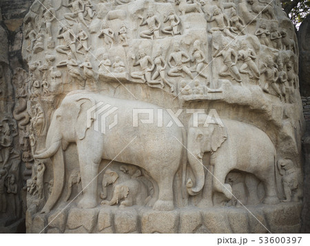 アルジュナの苦行（ガンガー降下）　マハーバリプラム 53600397