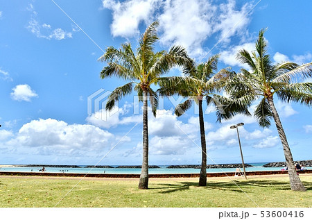 ハワイの休日 53600416