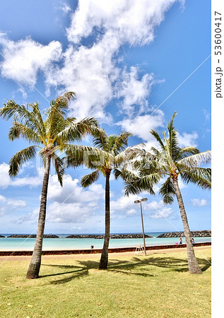 ハワイの休日 ハワイの休日 53600417