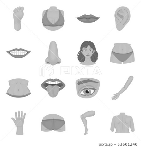 Isolated object of body and part logo. Collection of body and anatomy vector icon for stock. 53601240