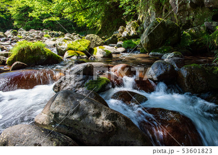 風景 風景 53601823