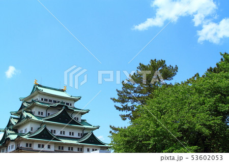 名古屋市 新緑の名古屋城 名古屋市 新緑の名古屋城 53602053