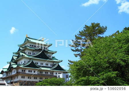 名古屋市 新緑の名古屋城 名古屋市 新緑の名古屋城 53602056