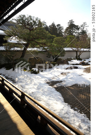 雪化粧の南禅寺方丈庭園 雪化粧の南禅寺方丈庭園 53602165