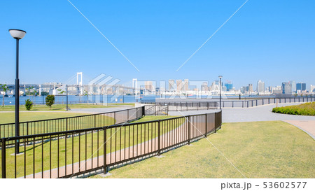 豊洲ぐるり公園の風景 豊洲ぐるり公園の風景 53602577