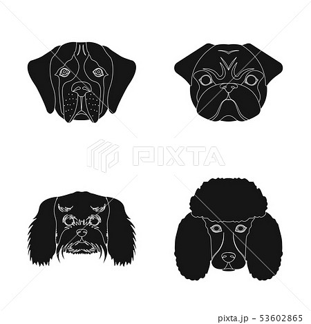 Isolated object of cute and puppy logo. Set of cute and animal vector icon for stock. Isolated object of cute and puppy logo. Set of cute and animal vector icon for stock. 53602865