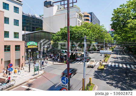新緑の表参道 原二本通り 新緑の表参道 原二本通り 53602872