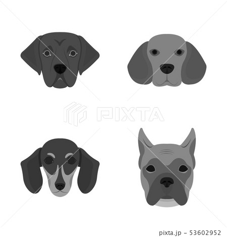 Isolated object of cute and puppy sign. Set of cute and animal stock symbol for web. Isolated object of cute and puppy sign. Set of cute and animal stock symbol for web. 53602952
