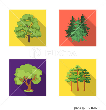 Isolated object of tree  and forest icon. Set of tree  and green stock symbol for web. 53602990