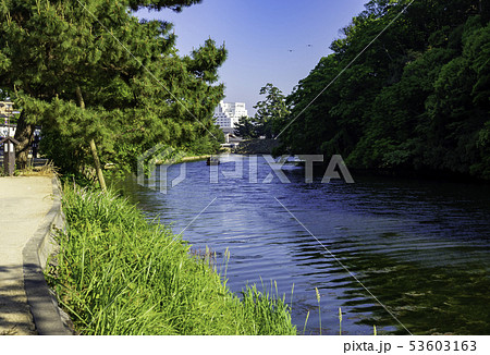 島根県松江市　松江城　ぐるっと松江　堀川めぐり　お堀 53603163