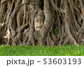 アユタヤ 53603193