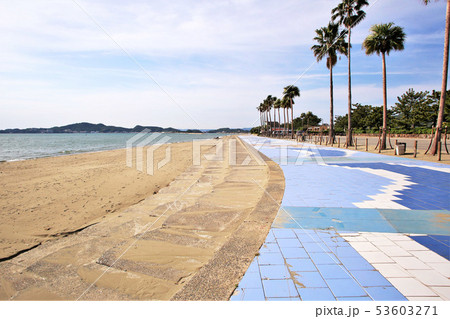 和歌山 浜の宮ビーチ 和歌山 浜の宮ビーチ 53603271