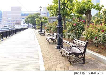 ヴェルニー公園(初夏) ヴェルニー公園(初夏) 53603797