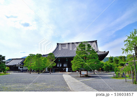 京都嵐山天龍寺の新緑 53603857