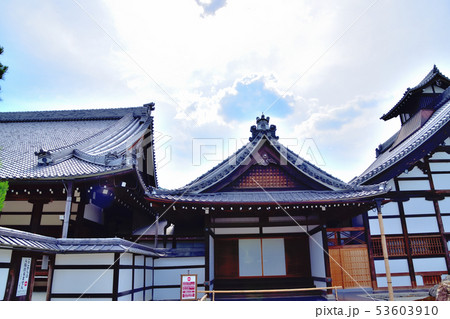 京都嵐山天龍寺の新緑 53603910