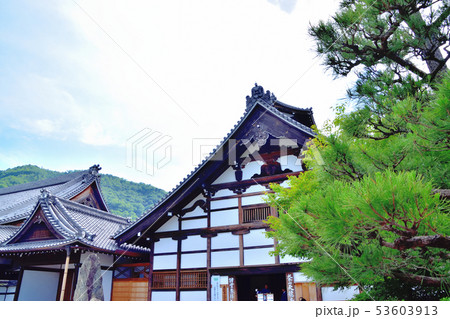 京都嵐山天龍寺の新緑 京都嵐山天龍寺の新緑 53603913